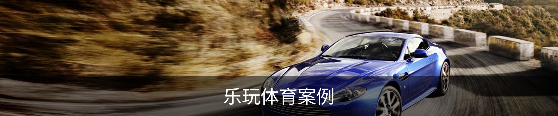 乐玩体育案例